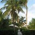 Grand Bahama Vacation