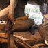 National Aquarium Visit