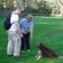 A Walk on Lehigh Parkway
