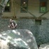 Saint Peter's Village with Brian, Cailin, and Erin