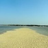 Cape Cod Camping Trip