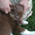 Heidi's Puppy Pictures