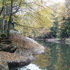 McConnell's Mill