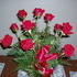 Birthday Roses From Anthony