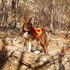 Hike with Dad, Anthony, and Heidi 