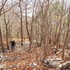 Hike with Dad, Anthony, and Heidi 