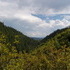 Steamboat Springs, Day 1: Mad Creek Hike