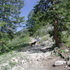 Dad's Pictures from Fish Creek Falls