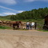 A Horseback Ride Through Steamboat Springs