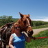 A Horseback Ride Through Steamboat Springs