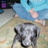Puppy Love