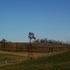 Adventures in Somerset