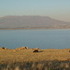 The Great Salt Lake & Antelope Island