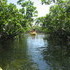 Grand Bahama Vacation