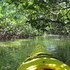 Grand Bahama Vacation
