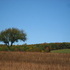 Sweet home, Pennsylvania