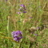 Mad Creek Hike