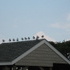 Ocean City, New Jersey