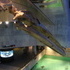 National Aquarium Visit
