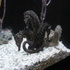 National Aquarium Visit