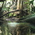 National Aquarium Visit