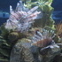 National Aquarium Visit