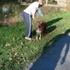 A Walk on Lehigh Parkway