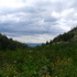 Fishcreek Falls Hike and Family Time