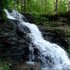 Rickett's Glen
