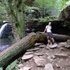 Ricketts Glen Hike with Mom, Megan, and Xander