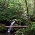 Hiking in the Great Smoky Mountains (Alternate Title: Anthony Jumping Off of Big Rocks)