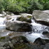Hiking in the Great Smoky Mountains (Alternate Title: Anthony Jumping Off of Big Rocks)