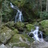 Hiking in the Great Smoky Mountains (Alternate Title: Anthony Jumping Off of Big Rocks)