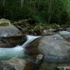 Hiking in the Great Smoky Mountains (Alternate Title: Anthony Jumping Off of Big Rocks)