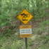 Cades Cove